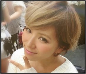 平沼ファナ,父親,職業,不動産