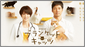 ドラマ ブランケットキャッツ 6話 あらすじ